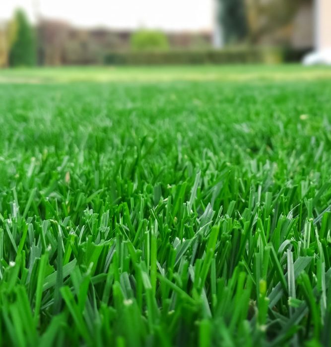 Favoriser l’utilisation de fertilisants organiques