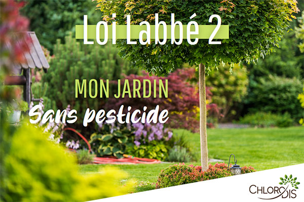 Focus sur la Loi Labbé 2 : son impact et ses alternatives