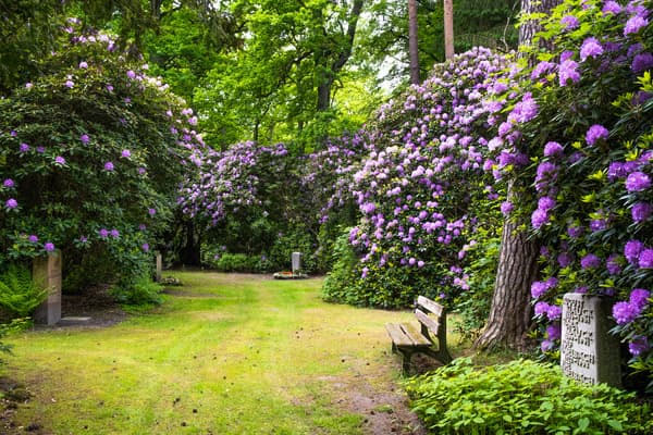 Cimetière paysager : végétalisation des espaces