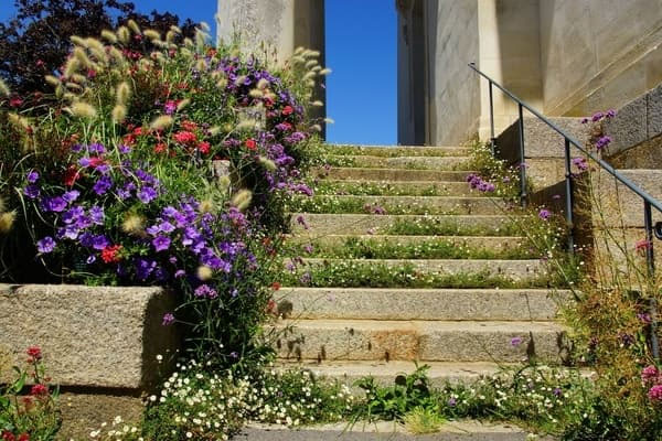 Le choix des plantes adaptées au fleurissement urbain